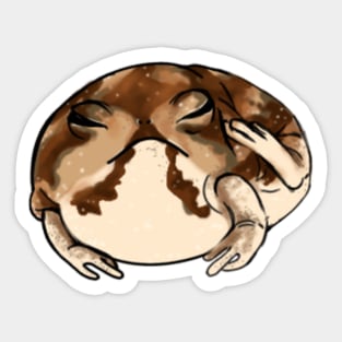 desert rain frog Sticker